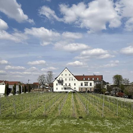 Weinzeit13 Διαμέρισμα Neustadt an der Weinstraße Εξωτερικό φωτογραφία