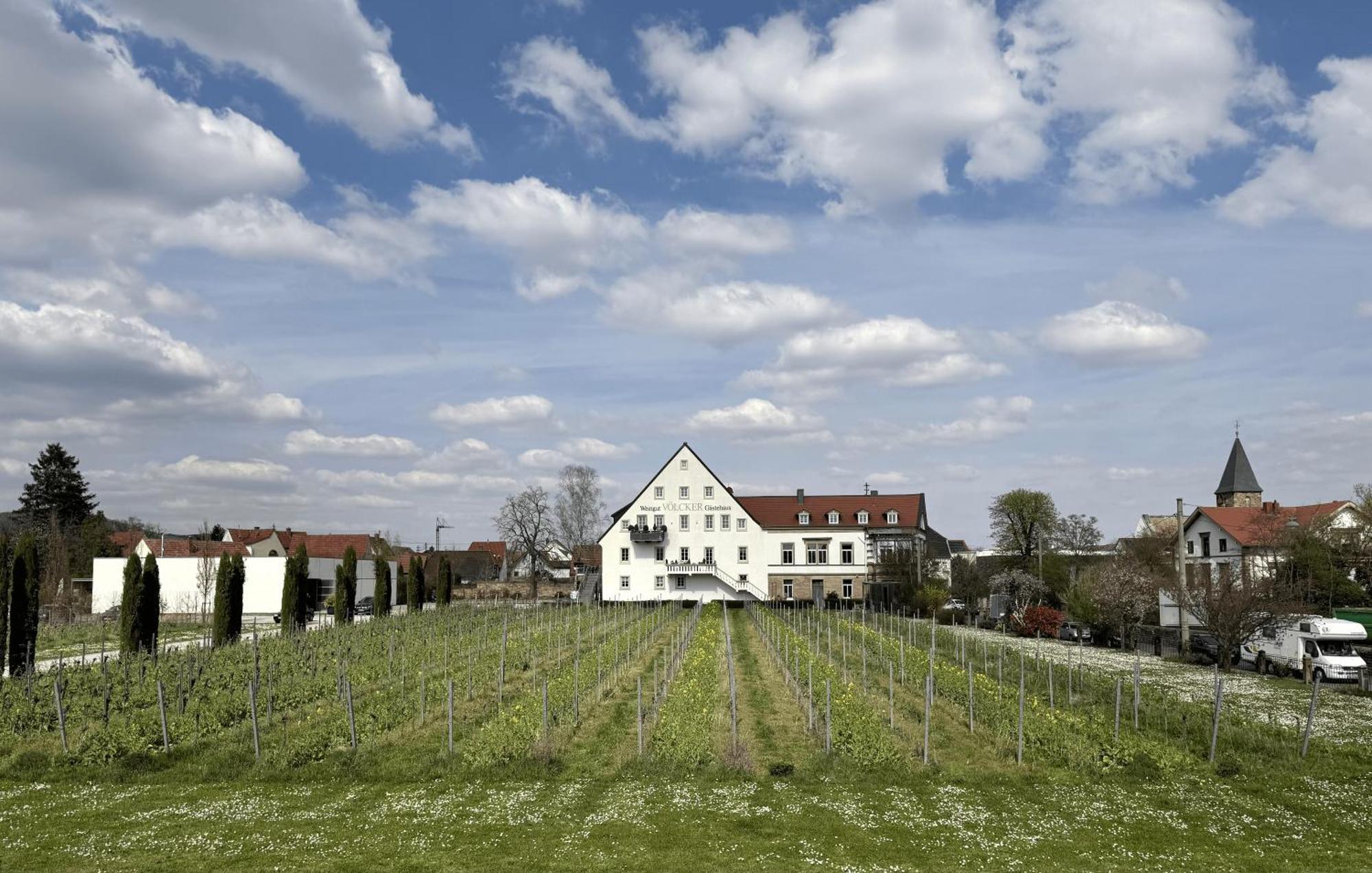 Weinzeit13 Διαμέρισμα Neustadt an der Weinstraße Εξωτερικό φωτογραφία